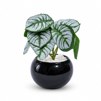 Premium Artificial Showpiece Flower Pot Home Decor, Decorative Home Item / Tabletop Statue / Luxury Flower Showpiece for Living Room, Office & Gifting