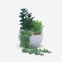 Artificial Succulent Plant in White & Gold Ceramic Pot, Multicolour Decorative Plant for Home Décor, Table Décor & Gifting