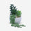 Artificial Succulent Plant in White & Gold Ceramic Pot, Multicolour Decorative Plant for Home Décor, Table Décor & Gifting