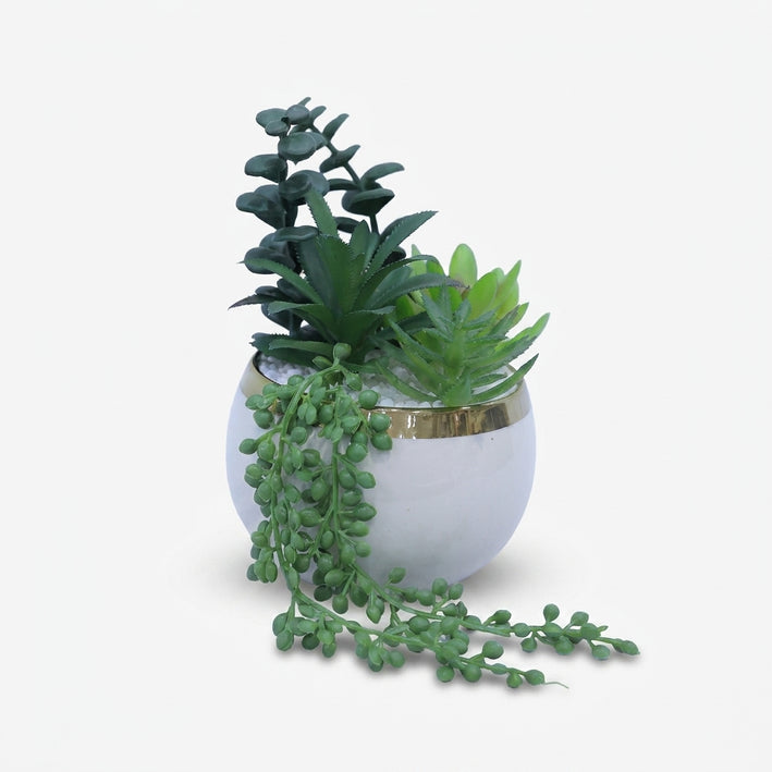 Artificial Succulent Plant in White & Gold Ceramic Pot, Multicolour Decorative Plant for Home Décor, Table Décor & Gifting