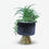 Premium Artificial Graceful Flower Pot Home Decor, Decorative Home Item / Tabletop Statue / Luxury Flower Showpiece for Living Room, Office & Gifting