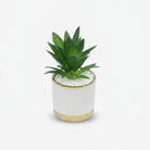 Artificial Green Succulent Plant in Pink Round Pot / Decorative Table Plant / Home Decor Planter