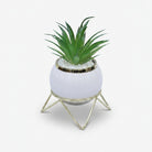 Artificial Green Succulent Plant in White Pot with Gold Stand / Decorative Table Planter / Home Decor Pot