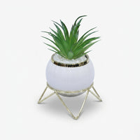 Artificial Green Succulent Plant in White Pot with Gold Stand / Decorative Table Planter / Home Decor Pot