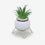 Artificial Green Succulent Plant in White Pot with Gold Stand / Decorative Table Planter / Home Decor Pot