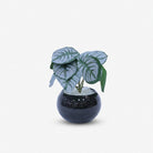 Artificial Green Leaf Plant in Black Pot / Decorative Table Plant / Home Decor Planter