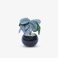 Artificial Green Leaf Plant in Black Pot / Decorative Table Plant / Home Decor Planter