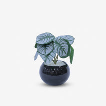 Artificial Green Leaf Plant in Black Pot / Decorative Table Plant / Home Decor Planter