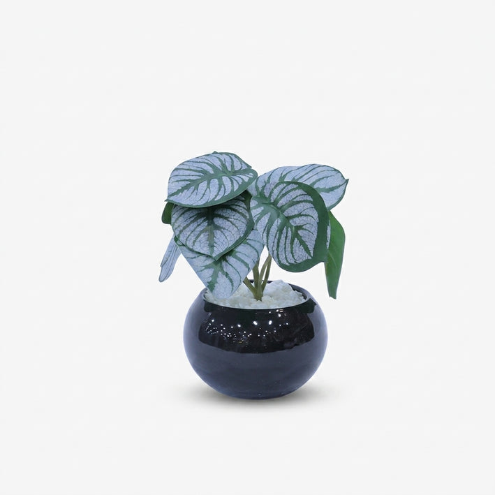 Artificial Green Leaf Plant in Black Pot / Decorative Table Plant / Home Decor Planter