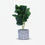 Artificial Green Leaf Plant Pot / Decorative Green Plant Arrangement / Home Decor Flower Pot