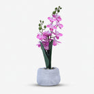 Premium rtificial Graceful Flower Pot Home Decor, Decorative Home Item / Tabletop Statue / Luxury Flower Showpiece for Living Room, Office & Gifting
