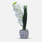 Premium Artificial Graceful Flower Pot Home Decor, Decorative Home Item / Tabletop Statue / Luxury Flower Showpiece for Living Room, Office & Gifting