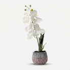 Premium Artificial Graceful Flower Pot Home Decor, Decorative Home Item / Tabletop Statue / Luxury Flower Showpiece for Living Room, Office & Gifting