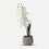 Premium Artificial Graceful Flower Pot Home Decor, Decorative Home Item / Tabletop Statue / Luxury Flower Showpiece for Living Room, Office & Gifting