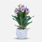Premium Artificial Graceful Flower Pot Home Decor, Decorative Home Item / Tabletop Statue / Luxury Flower Showpiece for Living Room, Office & Gifting
