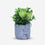 Premium Artificial Graceful Flower Pot Home Decor, Decorative Home Item / Tabletop Statue / Luxury Flower Showpiece for Living Room, Office & Gifting