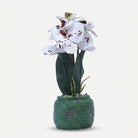 Premium Artificial Graceful Flower Pot Home Decor, Decorative Home Item / Tabletop Statue / Luxury Flower Showpiece for Living Room, Office & Gifting