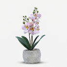 Premium Artificial Beautiful Flower Pot Home Decor, Decorative Home Item / Tabletop Statue / Luxury Flower Showpiece for Living Room, Office & Gifting