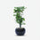 Premium Artificial Beautiful Flower Pot Home Decor, Decorative Home Item / Tabletop Statue / Luxury Flower Showpiece for Living Room, Office & Gifting