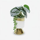 Premium Artificial Beautiful Flower Pot Home Decor, Decorative Home Item / Tabletop Statue / Luxury Flower Showpiece for Living Room, Office & Gifting