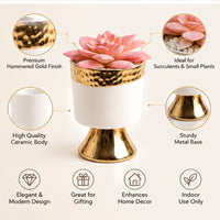 Premium Artificial Beautiful Flower Pot Home Decor, Decorative Home Item / Tabletop Statue / Luxury Flower Showpiece for Living Room, Office & Gifting