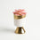 Artificial Pink Succulent Plant in White & Gold Ceramic Pot, Multicolour Decorative Plant for Home Décor, Table Décor & Gifting