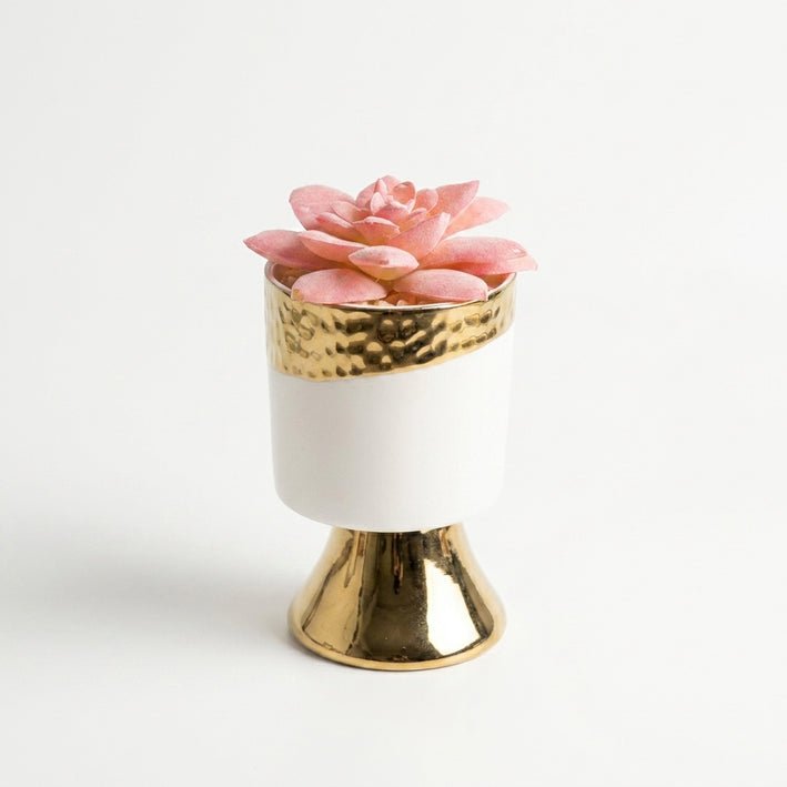 Artificial Pink Succulent Plant in White & Gold Ceramic Pot, Multicolour Decorative Plant for Home Décor, Table Décor & Gifting