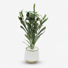 Premium Artificial Beautiful Flower Pot Home Decor, Decorative Home Item / Tabletop Statue / Luxury Flower Showpiece for Living Room, Office & Gifting