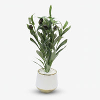 Premium Artificial Beautiful Flower Pot Home Decor, Decorative Home Item / Tabletop Statue / Luxury Flower Showpiece for Living Room, Office & Gifting