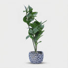 Premium Artificial Beautiful Flower Pot Home Decor, Decorative Home Item / Tabletop Statue / Luxury Flower Showpiece for Living Room, Office & Gifting