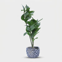 Premium Artificial Beautiful Flower Pot Home Decor, Decorative Home Item / Tabletop Statue / Luxury Flower Showpiece for Living Room, Office & Gifting