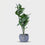 Premium Artificial Beautiful Flower Pot Home Decor, Decorative Home Item / Tabletop Statue / Luxury Flower Showpiece for Living Room, Office & Gifting