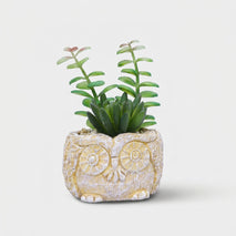 Artificial Succulent Plant in Owl Design Ceramic Pot, Multicolour Decorative Plant for Home Décor, Table Décor & Gifting