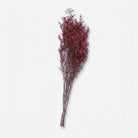 Artificial Brown Dried Flower Stick, Multicolour Decorative Floral Stem for Vase Arrangement, Home Décor & Event Styling