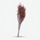 Premium Elegant Artificial Red Berry Decorative Flower Filler Stem for Home Decor