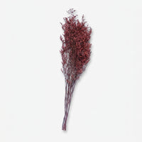 Artificial Brown Dried Flower Stick, Multicolour Decorative Floral Stem for Vase Arrangement, Home Décor & Event Styling