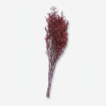 Artificial Brown Dried Flower Stick, Multicolour Decorative Floral Stem for Vase Arrangement, Home Décor & Event Styling