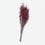Artificial Brown Dried Flower Stick, Multicolour Decorative Floral Stem for Vase Arrangement, Home Décor & Event Styling