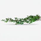 Premium Stunning Artificial Green Eucalyptus Leaf Branch for Home, Office & Wall Decoration