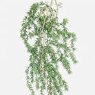 Artificial Green Fern Hanging Vine, Decorative Foliage Stem for Wall Décor, Balcony Décor & Floral Styling