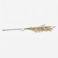 Premium Graceful Artificial Dried Beige Decorative Flower Stem for Home & Floral Arrangement