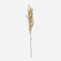 Artificial Golden Dried Grass Stick, Decorative Pampas Style Stem for Vase Arrangement, Home Décor & Event Styling
