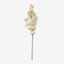 Premium Charming Artificial Cream Eucalyptus Leaf Branch for Home, Office & Table Decoration