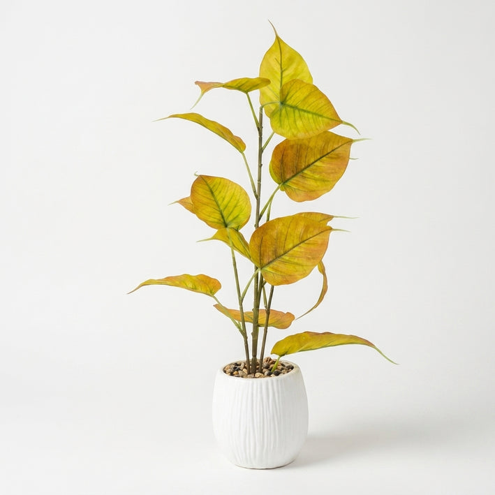 Premium Stunning Artificial Yellow Green Peepal Leaf Plant with White Pot for Home & Office Decor