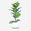 Premium Gorgeous Artificial Green Leaf Indoor Plant with White Pot for Home, Office & Table Decor