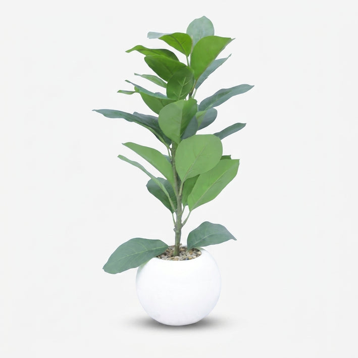 Premium Gorgeous Artificial Green Leaf Indoor Plant with White Pot for Home, Office & Table Decor