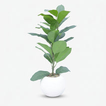 Artificial Green Leaf Plant in White Pot, Decorative Indoor Plant for Home Décor, Table Décor & Gifting