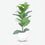 Artificial Green Leaf Plant in White Pot, Decorative Indoor Plant for Home Décor, Table Décor & Gifting