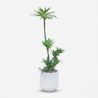 Premium Graceful Artificial Yucca Palm Plant with White Decorative Pot for Home & Office Decor
