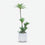 Premium Graceful Artificial Yucca Palm Plant with White Decorative Pot for Home & Office Decor